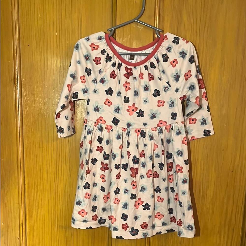 Tea Collection 4T: Floral Kids Dress - Pink and Blue